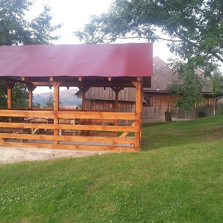 Cabana Bunicilor Рэкицеле Экстерьер фото