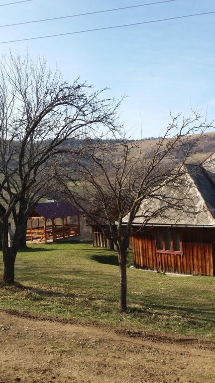 Cabana Bunicilor Рэкицеле Экстерьер фото