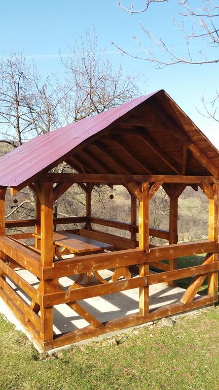 Cabana Bunicilor Рэкицеле Экстерьер фото